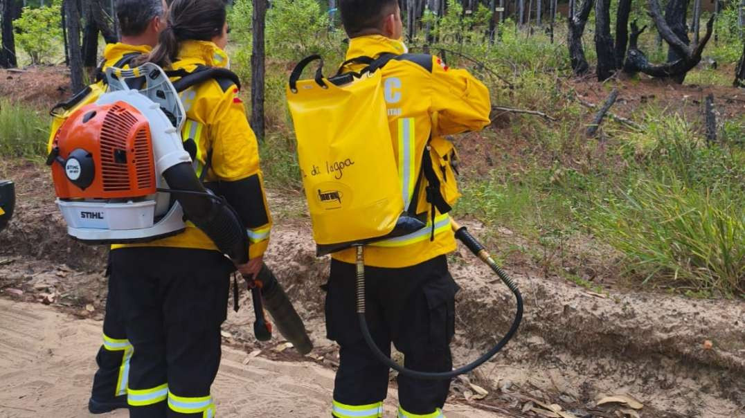 Bombeiros combatem incêndio florestal no Parque Estadual do Rio Vermelho